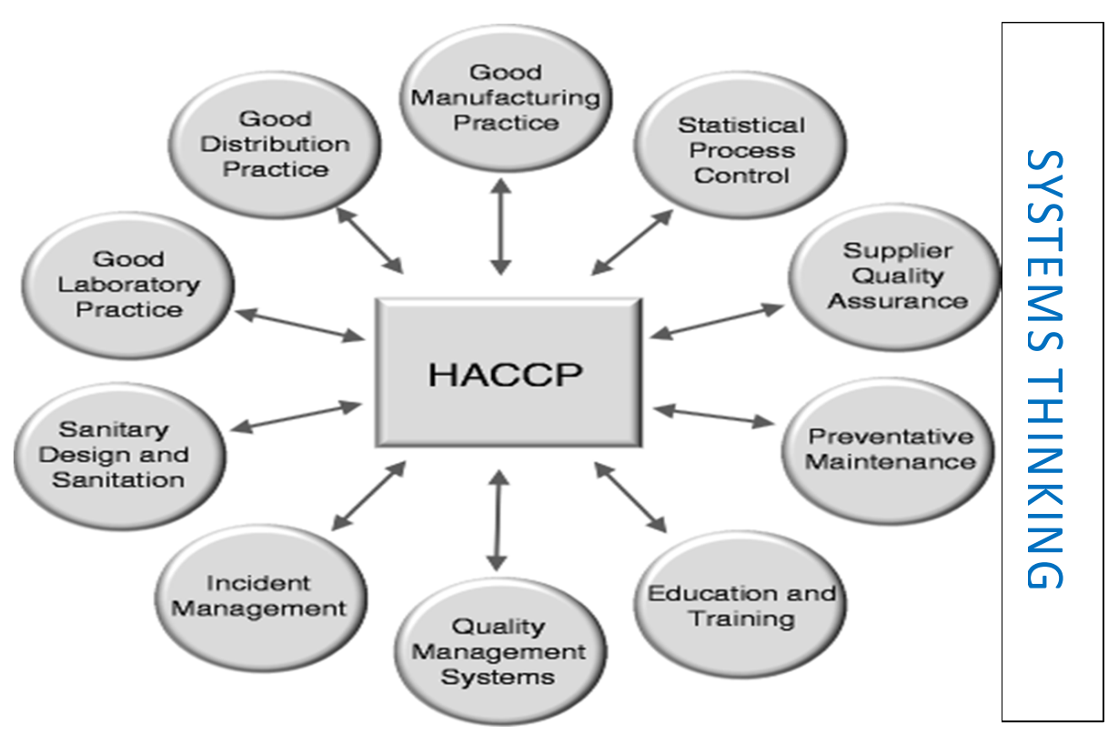 HACCP and food safety standards implementation support for dairy plants